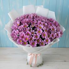 Букет цветов из:  Хризантемы в Щиграх