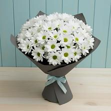 Букет цветов из:  Хризантемы в Щиграх