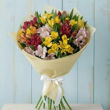 Букет цветов из:  Альстромерии в Щиграх
