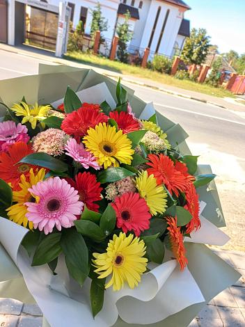 Букет цветов из: Герберы в Щиграх